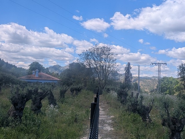 Imagen 2